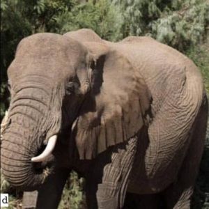 Meet your Posher, Todd